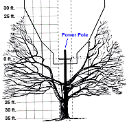 Tree V Trim Grid Drawing Med Size