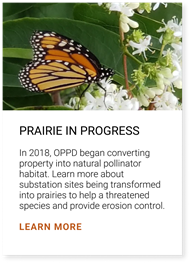Prairie in Progress: In 2018, OPPD began converting property into natural pollinator habitat. Learn more about substation sites being transformed into prairies to help a threatened species and provide erosion control. Click here to learn more.