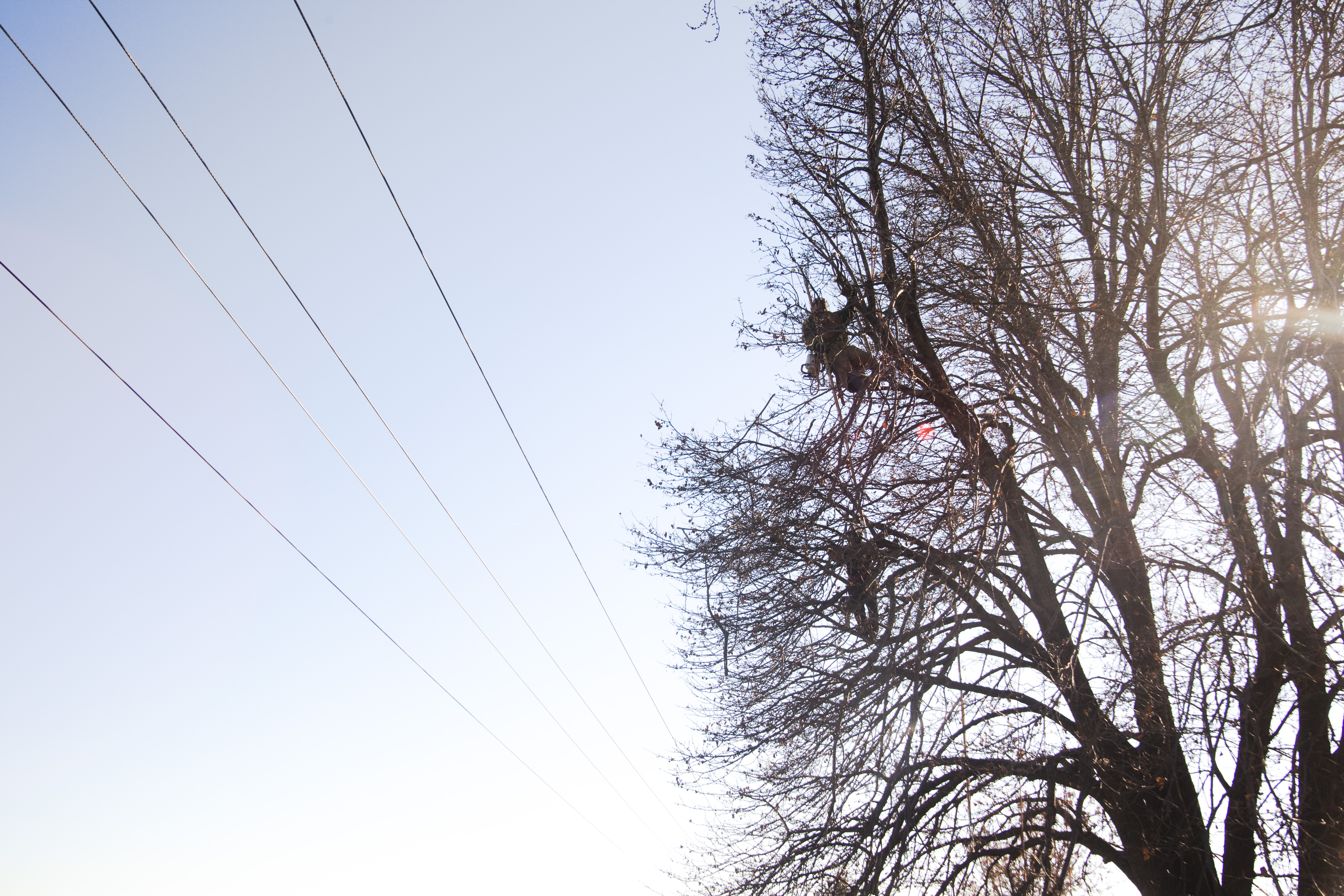 oppd power line down