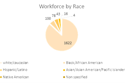 OPPD workforce by race chart