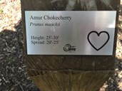 Informational tree sign
