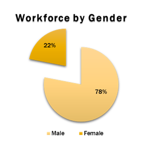 Workforce by gender