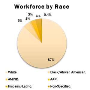 Workforce by race