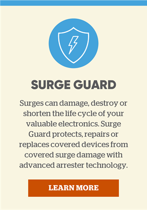 Surge Guard: Surges can damage, destroy or shorten the life cycle of your valuable electronics. Surge Guard protects, repairs or replaces covered devices from covered surge damage with advanced arrester technology. Learn more.